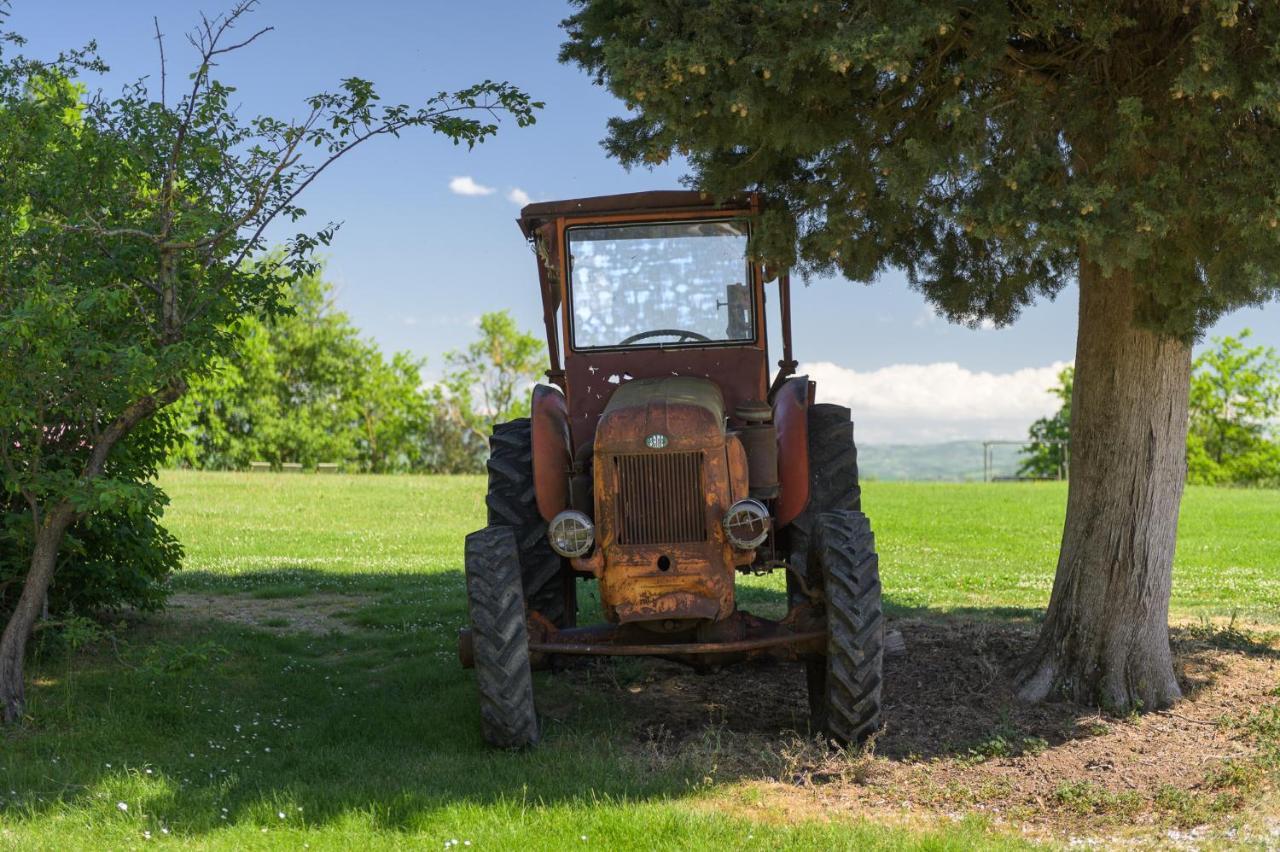 Agriturismo Cretaiole Pienza Exteriér fotografie