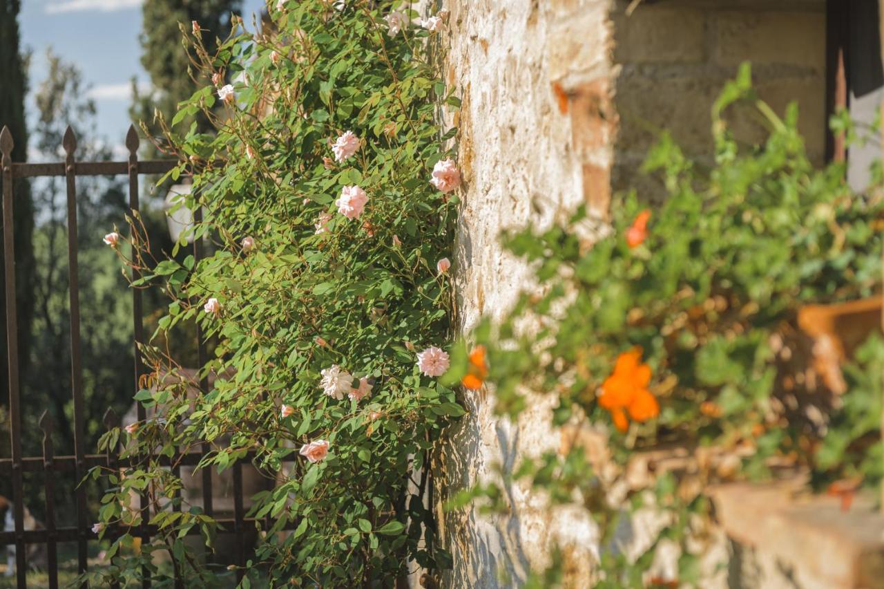 Agriturismo Cretaiole Pienza Exteriér fotografie