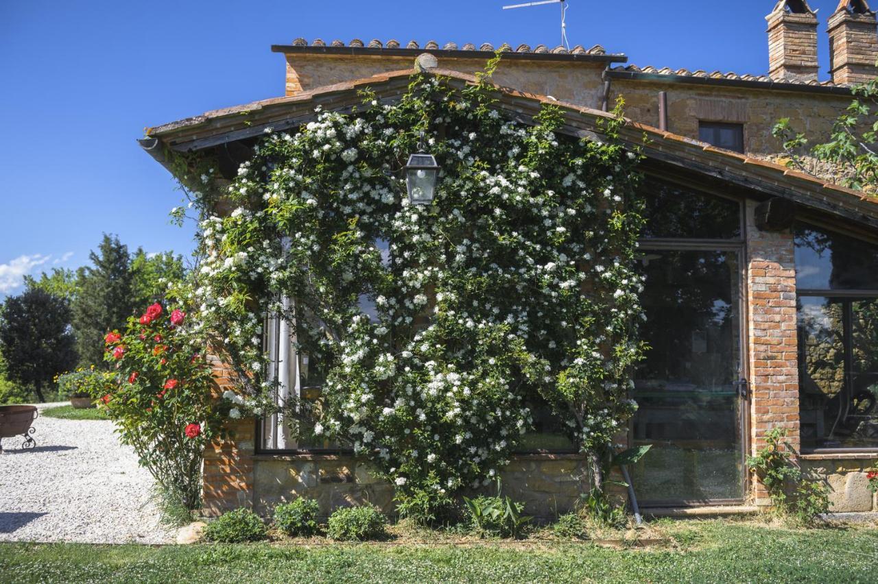 Agriturismo Cretaiole Pienza Exteriér fotografie