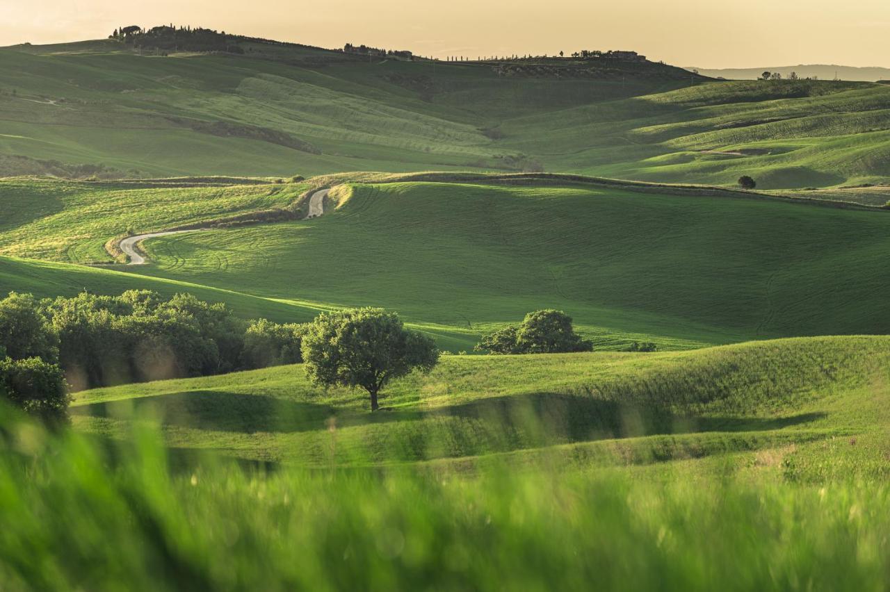 Agriturismo Cretaiole Pienza Exteriér fotografie