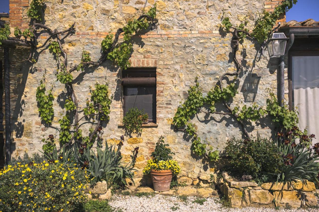 Agriturismo Cretaiole Pienza Exteriér fotografie